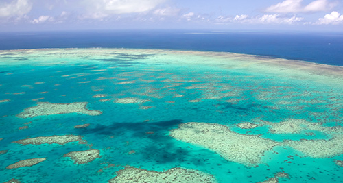 Mission-Water-GBR-Overhead-Bleaching.jpg